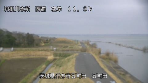 seigan2026032006_image