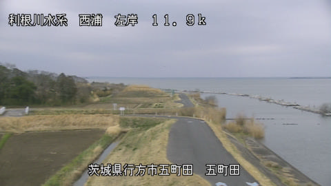 seigan2026032007_image