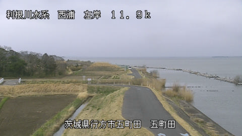 seigan2026032009_image