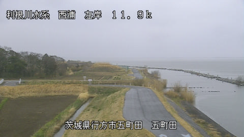 seigan2026032010_image