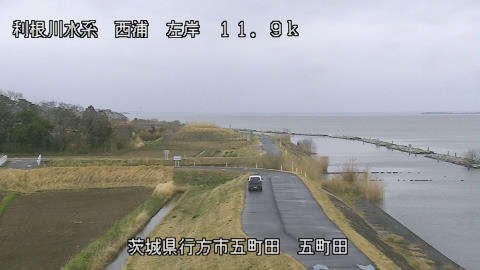 seigan2026032011_image