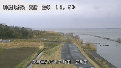 seigan2026032013_image