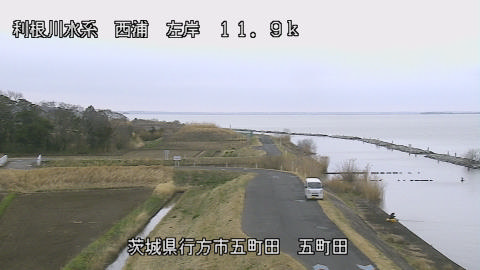 seigan2026032014_image