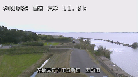 seigan2026102212_image