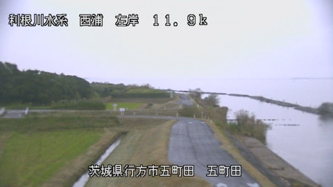 seigan2026102406_image