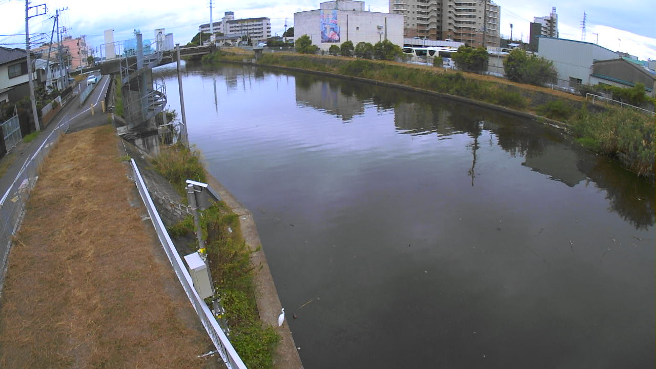 sinka2025100612_image