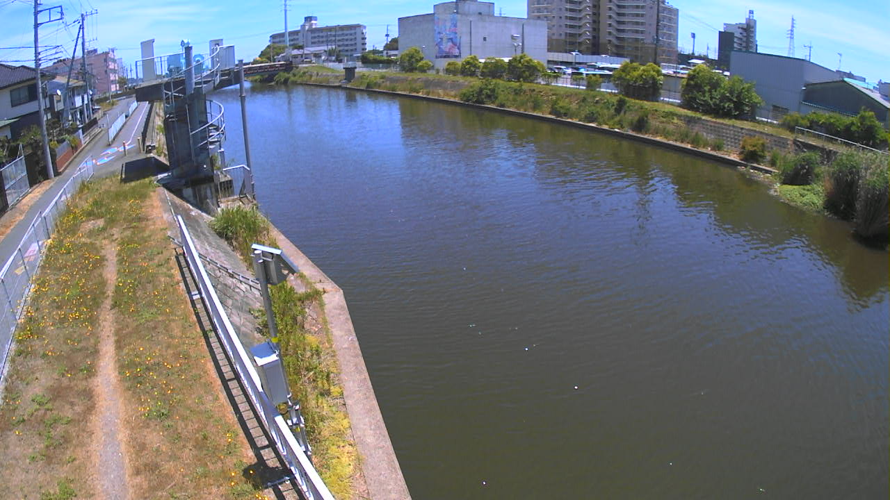 sinka2026060112_image