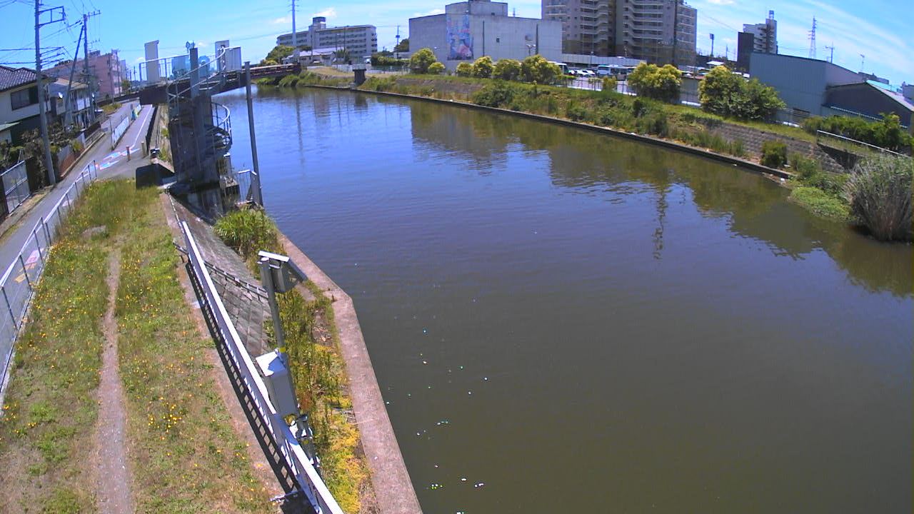 sinka2026061711_image