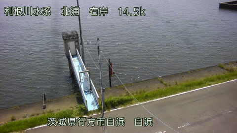 sira2025080412_image