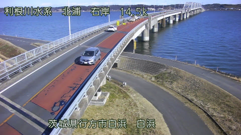 sira2026012312_image