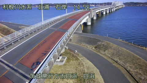 sira2026020113_image