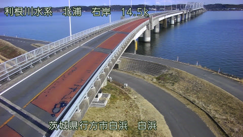 sira2026020212_image