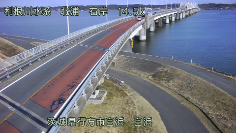 sira2026020213_image