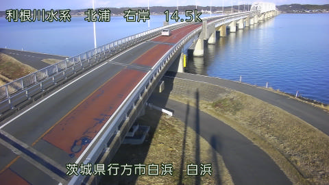 sira2026020216_image