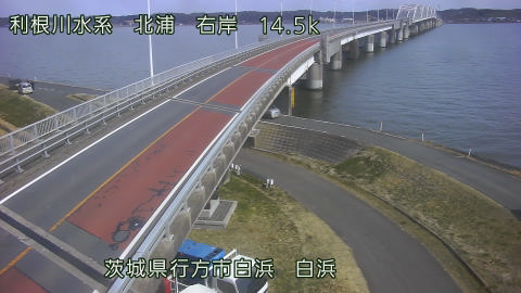 sira2026030112_image