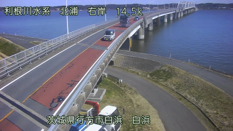 sira2026030812_image