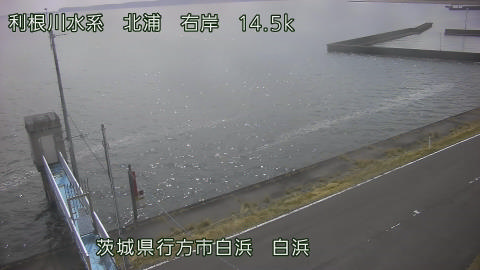 sira2026031812_image