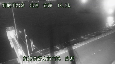 sira2026031901_image