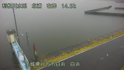 sira2026031907_image