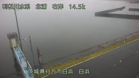 sira2026031909_image