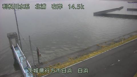 sira2026031911_image