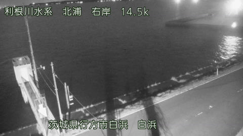 sira2026031921_image