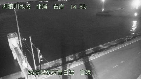 sira2026032005_image