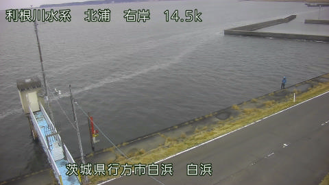 sira2026032007_image