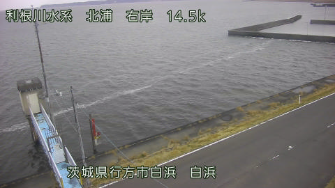 sira2026032009_image