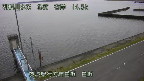 sira2026040612_image