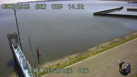 sira2026040812_image