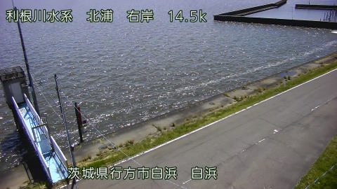 sira2026041112_image
