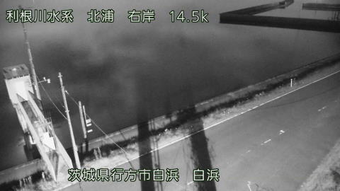 sira2026050223_image