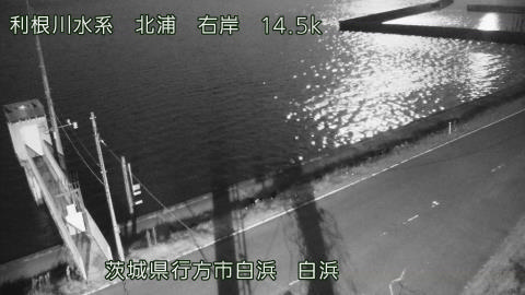 sira2026050302_image