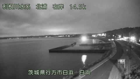 sira2026080101_image