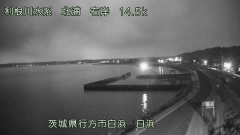 sira2026080102_image