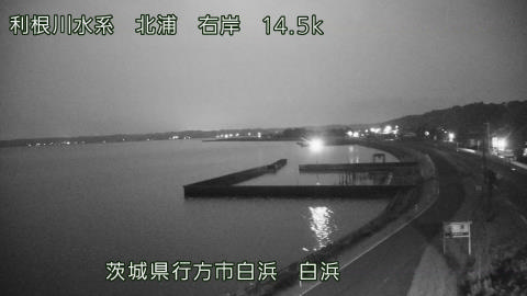 sira2026080103_image