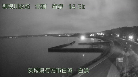 sira2026080104_image