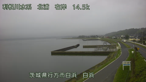 sira2026080107_image