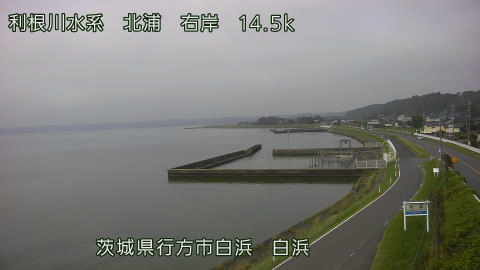 sira2026080108_image