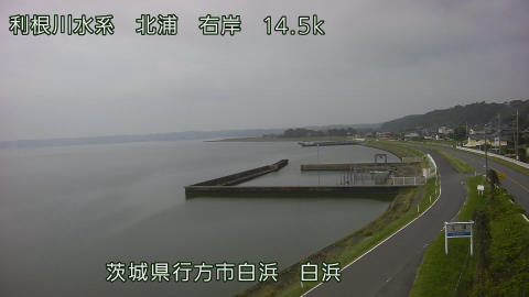 sira2026080109_image