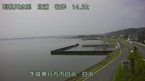 sira2026080110_image