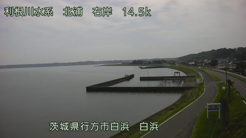 sira2026080113_image