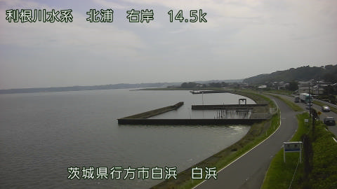 sira2026080114_image