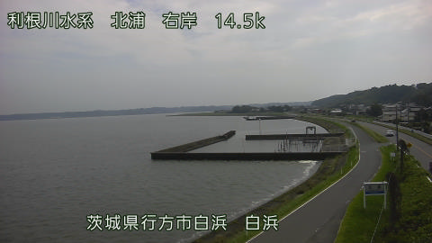 sira2026080115_image