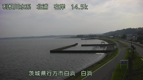 sira2026080116_image