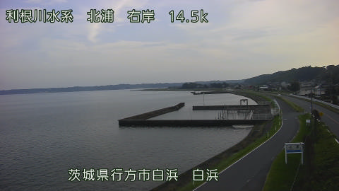 sira2026080117_image
