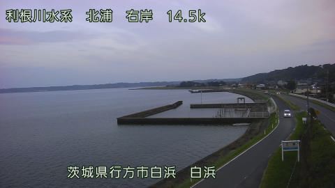 sira2026080119_image
