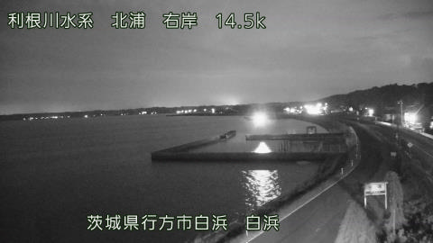 sira2026080120_image