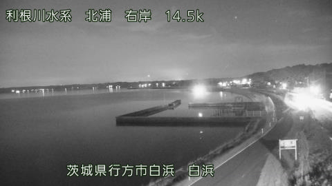 sira2026080123_image